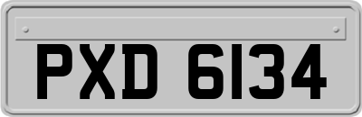 PXD6134