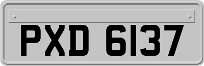 PXD6137