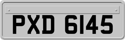 PXD6145