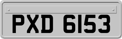 PXD6153