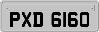 PXD6160