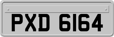 PXD6164