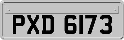 PXD6173