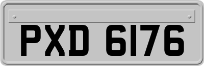 PXD6176