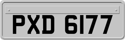 PXD6177