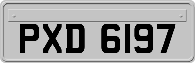 PXD6197