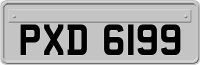 PXD6199