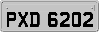 PXD6202