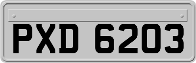 PXD6203