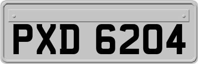 PXD6204