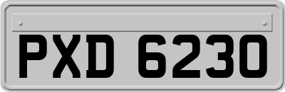 PXD6230