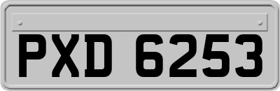 PXD6253