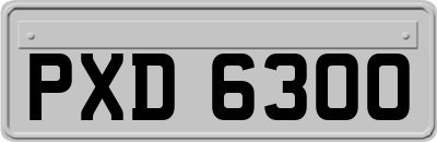 PXD6300