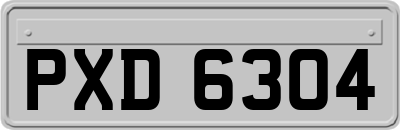 PXD6304