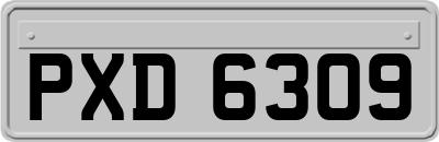 PXD6309