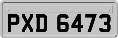 PXD6473