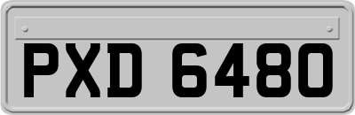 PXD6480