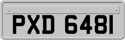 PXD6481