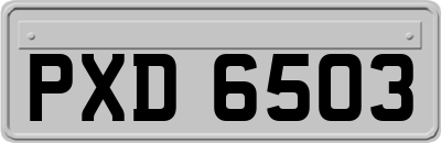 PXD6503