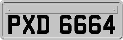 PXD6664