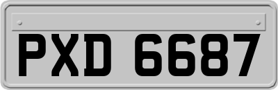 PXD6687