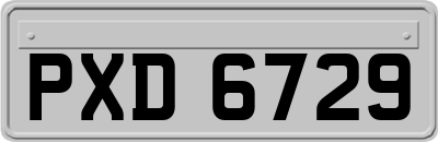 PXD6729