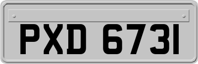 PXD6731