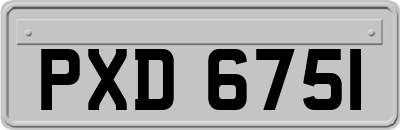 PXD6751