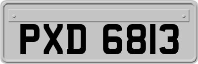 PXD6813