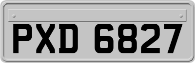 PXD6827