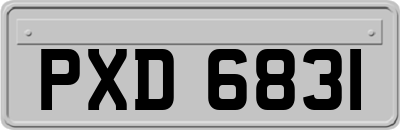 PXD6831