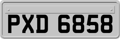 PXD6858