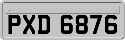 PXD6876