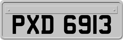 PXD6913