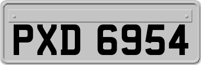 PXD6954