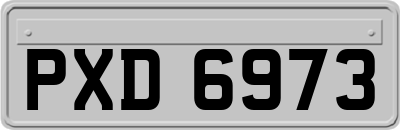 PXD6973