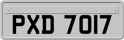 PXD7017