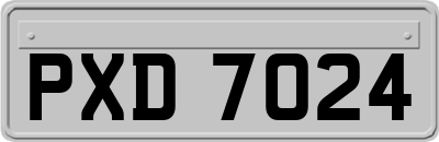 PXD7024