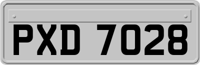 PXD7028