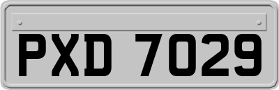 PXD7029