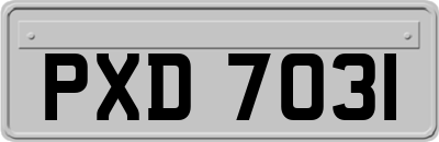 PXD7031