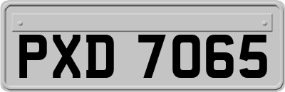 PXD7065