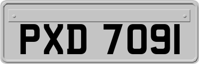 PXD7091