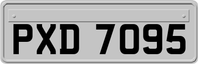 PXD7095