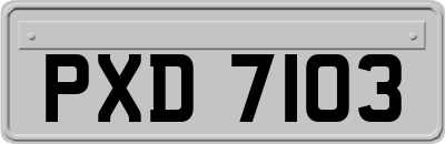 PXD7103