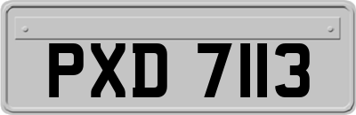 PXD7113