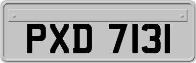 PXD7131