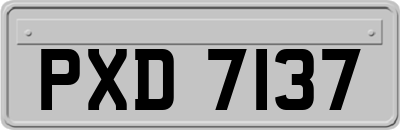 PXD7137