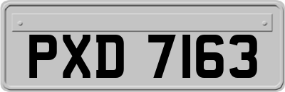 PXD7163