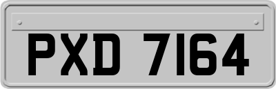 PXD7164